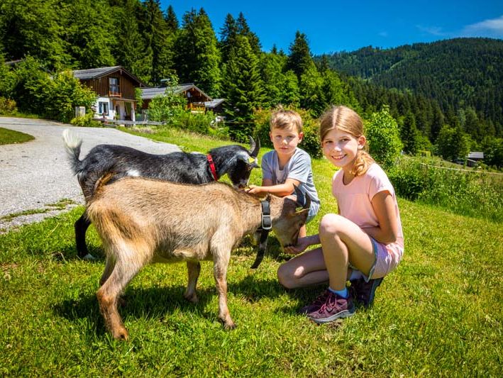 Ferien am Bauernhof im Tennengau